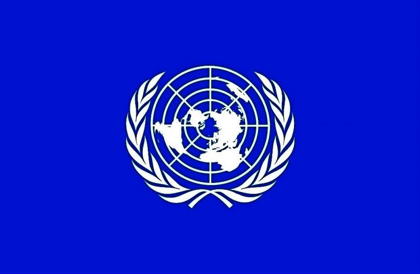 Birleşmiş Milletler'de hangi ülke ne oy  verdi?