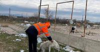 Çevre  Belediyelerden Bandırma Sınırlarına Başıboş Köpek Bırakılıyor