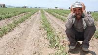 Asıl felaket bu:Türk çiftçisi toprağı bırakıyor!