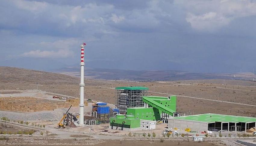 Türkiye'nin 73 ilinde biyokütleden elektrik üretiliyor