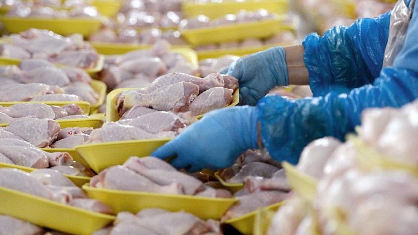 Tavuk eti ihracatı ilk 6 ayda yüzde 54 arttı